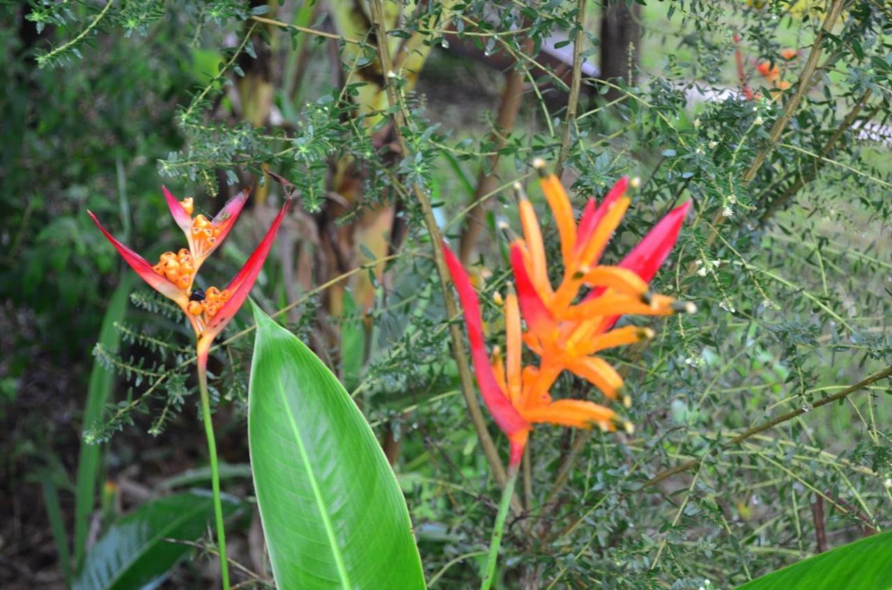 Chale Aconchegante, Pertinho Da Cidade E Conectada A Natureza Brasília Eksteriør bilde