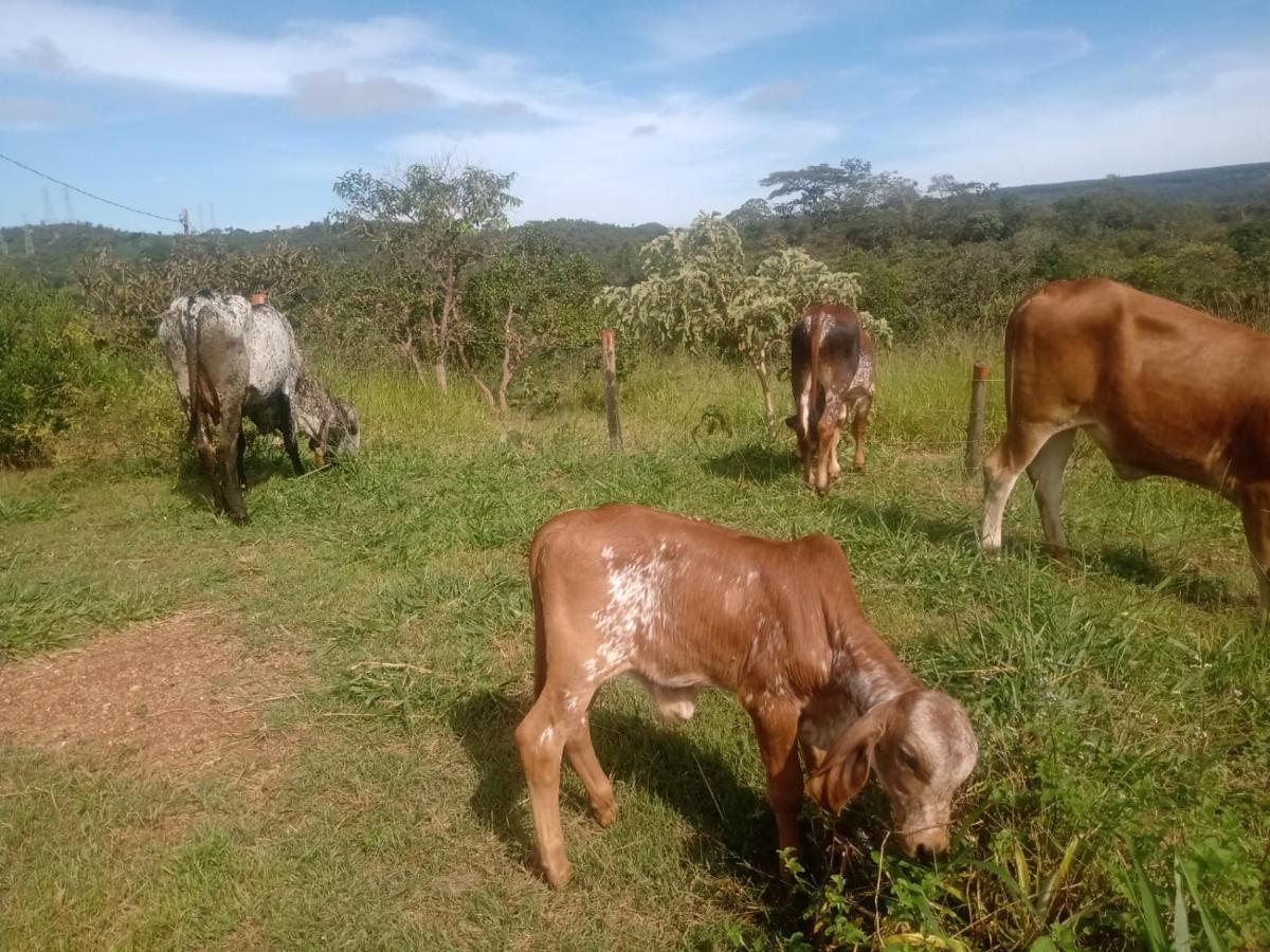 Chale Aconchegante, Pertinho Da Cidade E Conectada A Natureza Brasília Eksteriør bilde